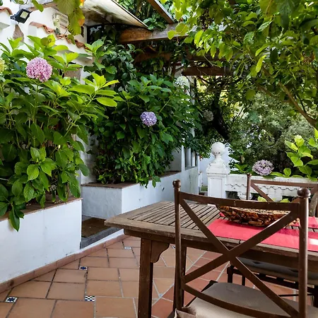 Junior Suite “El Estanco 14 Vega de San Mateo Exterior photo